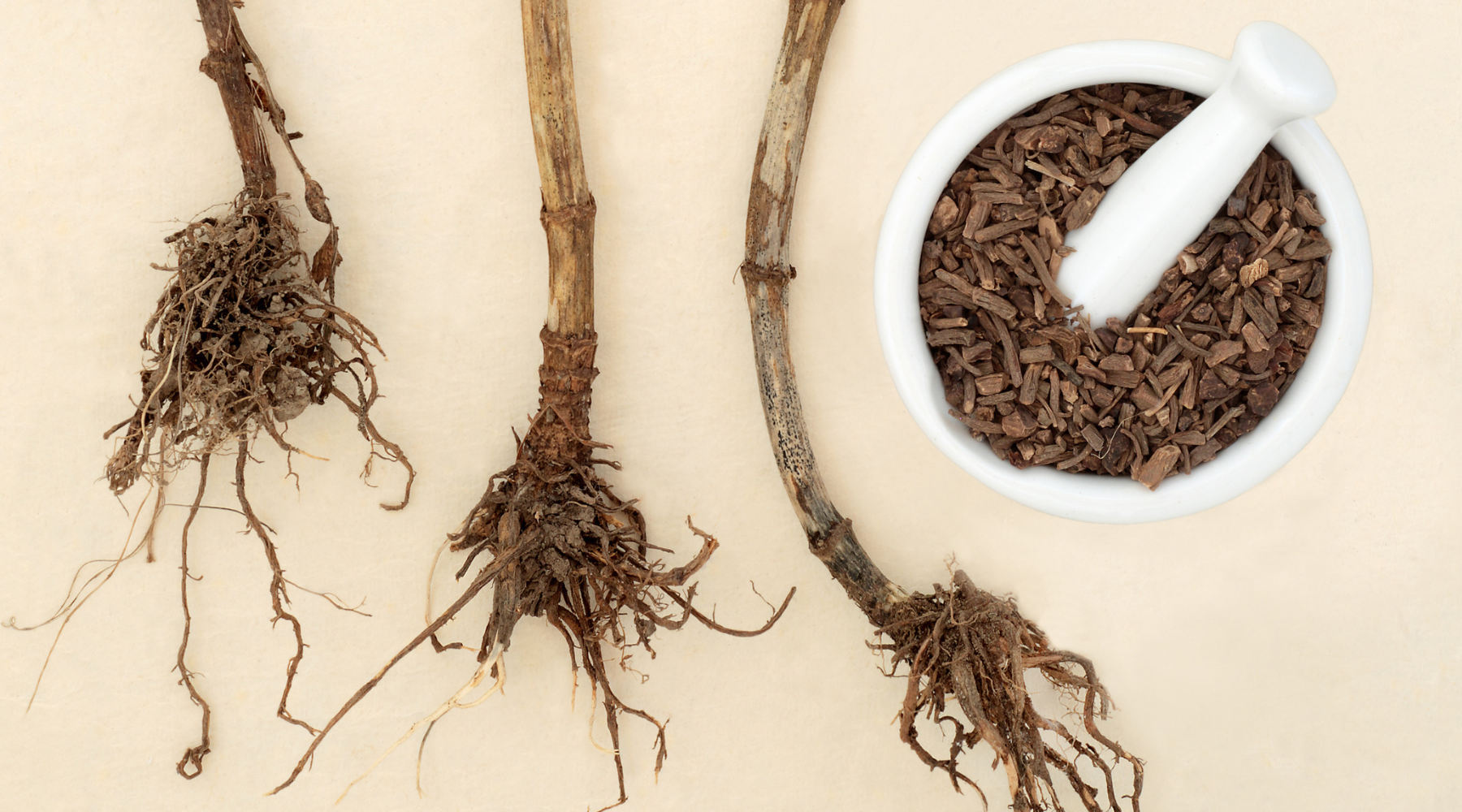 Valerian Root for Sleep Issues
