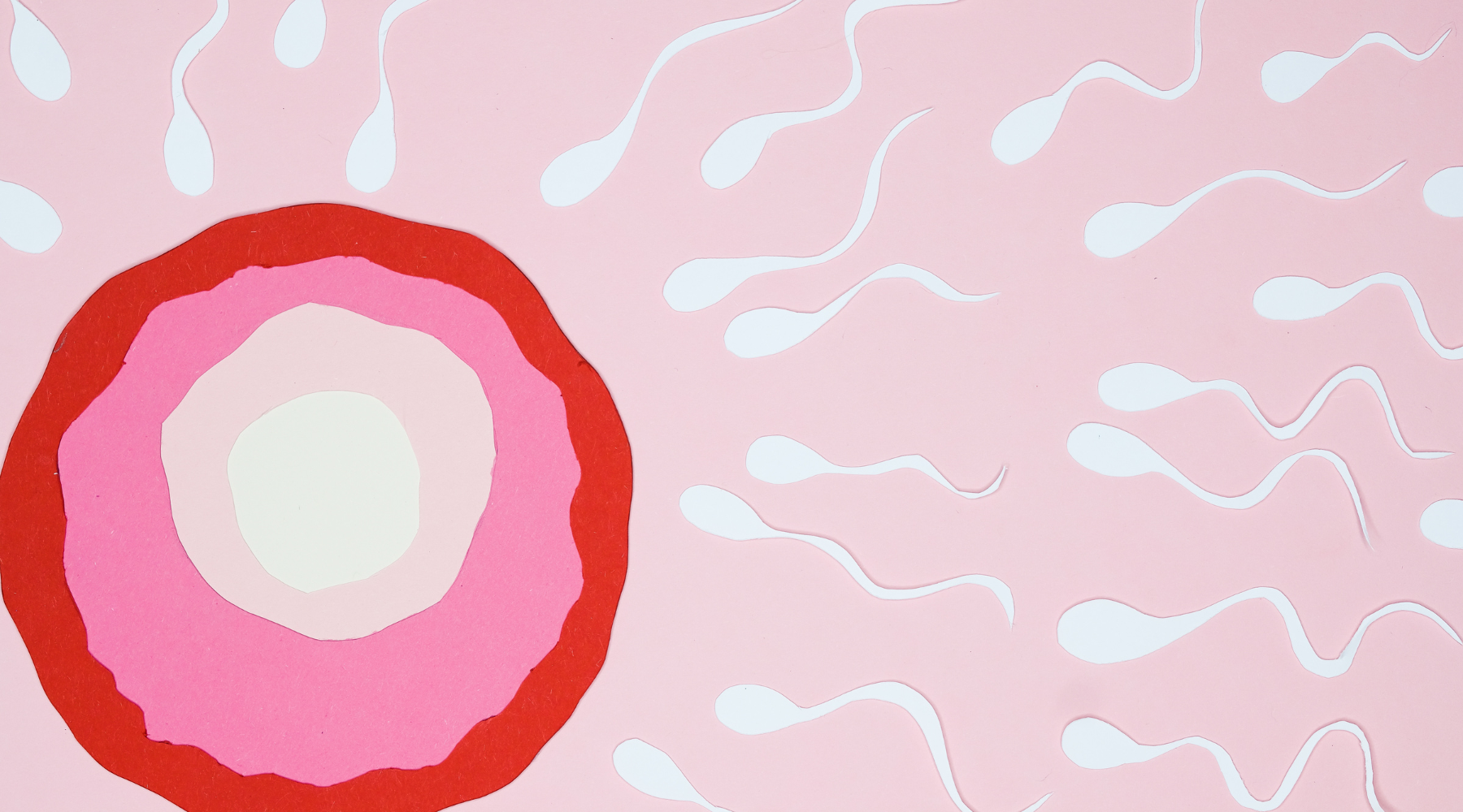 Can histamine affect fertility and our ability to conceive?