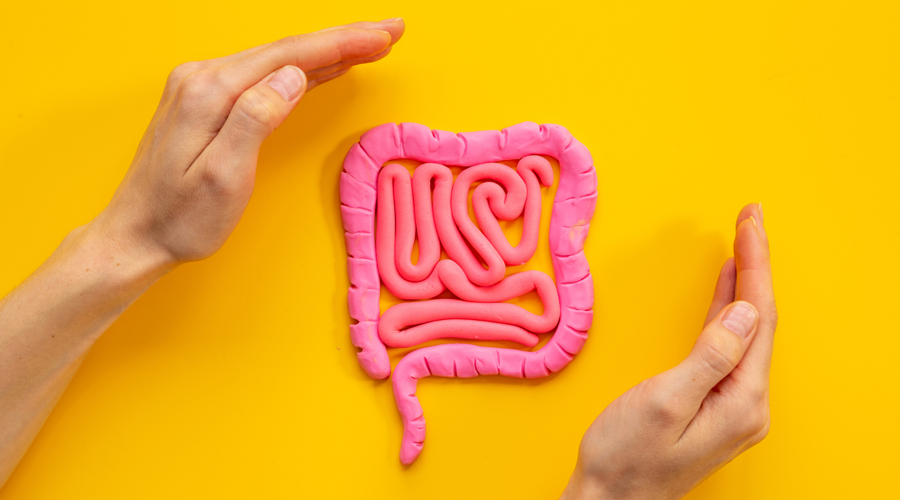 Leaky Gut Explained: Causes, Symptoms & How to Support Gut Healing