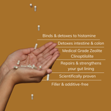 H. Pylori Health Pack & Protocol