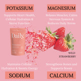 Daily Essentials Bundle